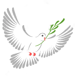 une colombe
